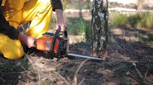 Best Lawn Pest Prevention  in Green Hill, TN