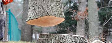 Best Arborist Consultation Services  in Green Hill, TN